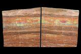 Tall, Arizona Petrified Wood Bookends - Red & Yellow #89339-1